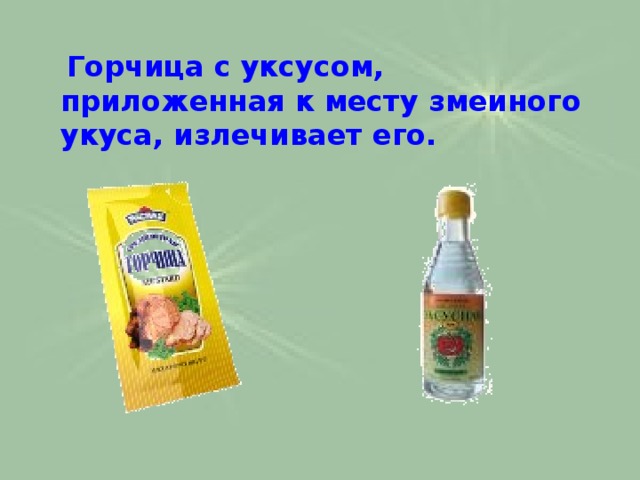  Горчица с уксусом, приложенная к месту змеиного укуса, излечивает его. 