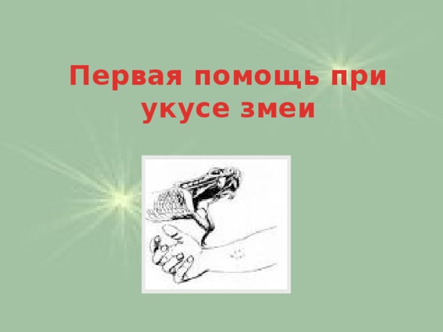 Первая помощь при укусе змеи   