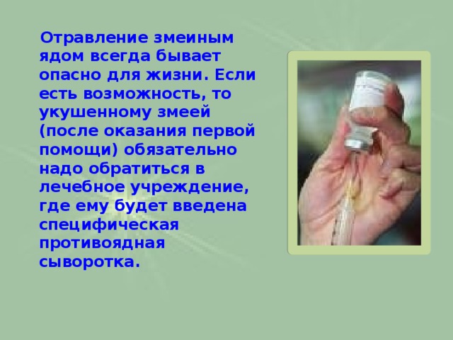  Отравление змеиным ядом всегда бывает опасно для жизни. Если есть возможность, то укушенному змеей (после оказания первой помощи) обязательно надо обратиться в лечебное учреждение, где ему будет введена специфическая противоядная сыворотка.   