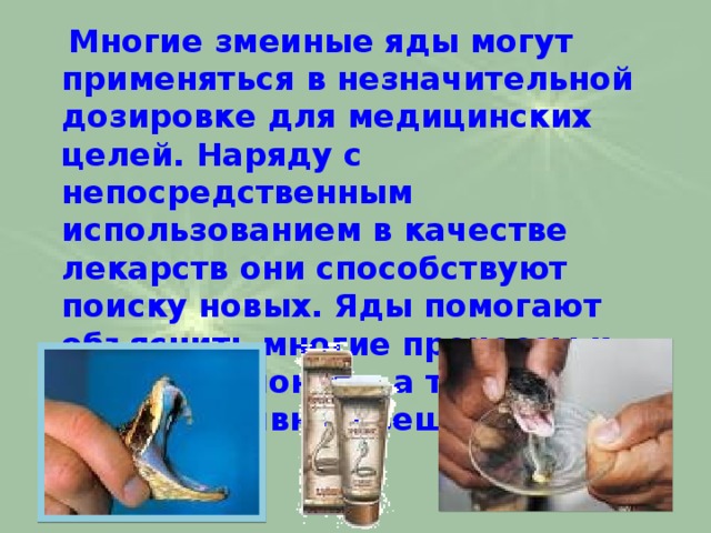  Многие змеиные яды могут применяться в незначительной дозировке для медицинских целей. Наряду с непосредственным использованием в качестве лекарств они способствуют поиску новых. Яды помогают объяснить многие процессы и лучше их понять, а также найти новые активные вещества. 