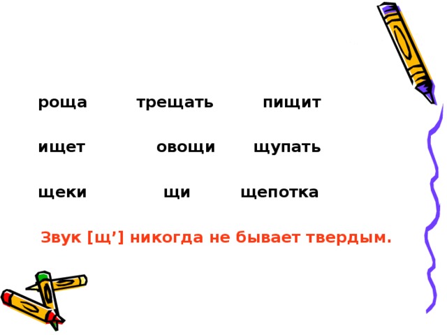 роща трещать пищит  ищет овощи щупать  щеки щи щепотка Звук [ щ ’] никогда не бывает твердым. 