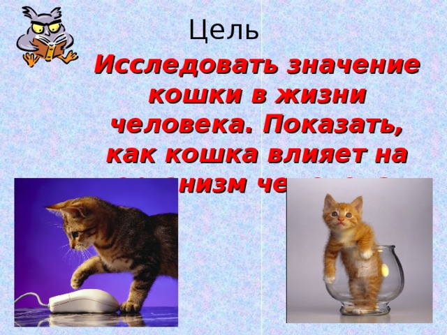 Кошки в жизни человека