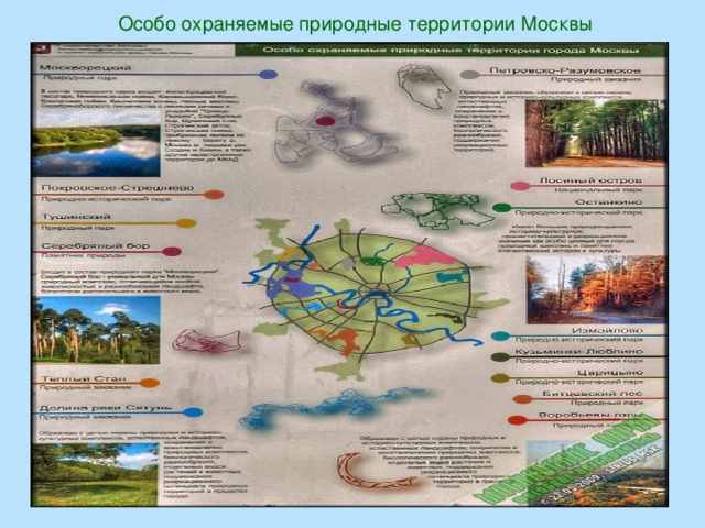 Презентация биология 5 класс важность охраны живого мира планеты 5 класс