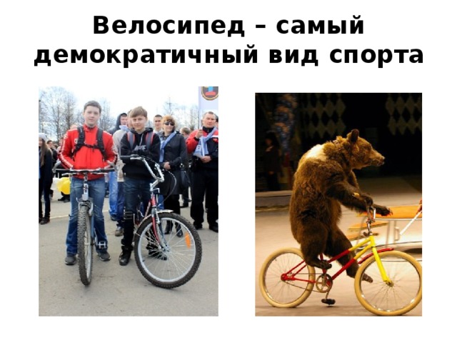 Велосипед – самый демократичный вид спорта 