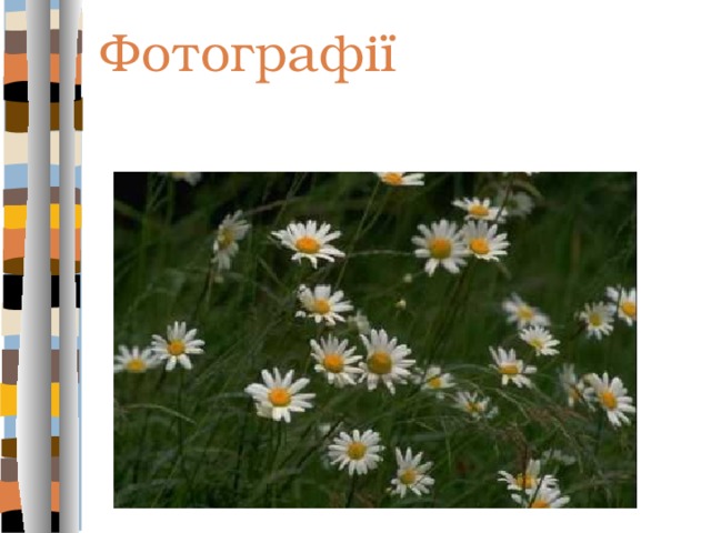 Фотографії 