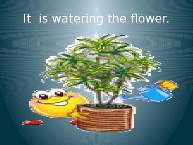 It is watering the flower. 