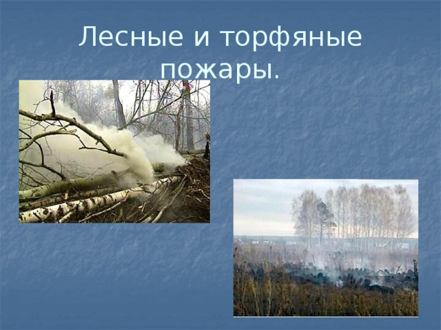 Лесные и торфяные пожары. Почему торфяные пожары труднее всего потушить? 