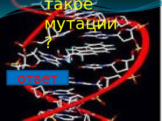 Что такое мутации? ответ 