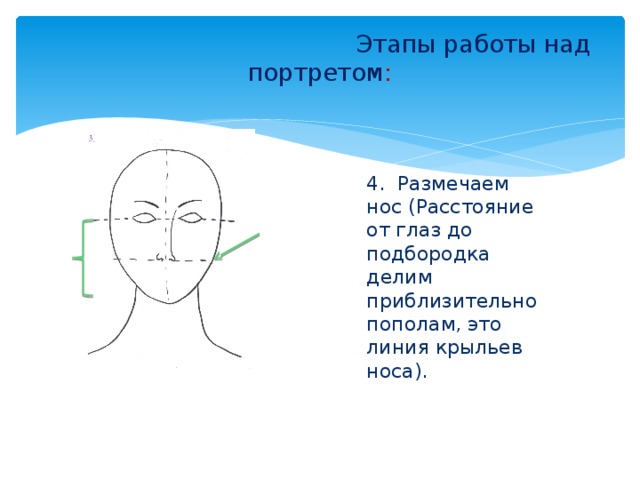  Этапы работы над портретом :   4. Размечаем нос (Расстояние от глаз до подбородка делим приблизительно пополам, это линия крыльев носа). 