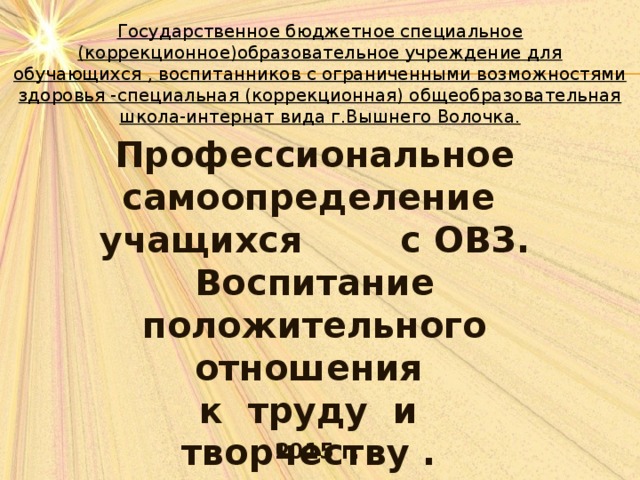 Государственное бюджетное специальное (коррекционное)образовательное учреждение для обучающихся , воспитанников с ограниченными возможностями здоровья -специальная (коррекционная) общеобразовательная школа-интернат вида г.Вышнего Волочка. Профессиональное самоопределение учащихся с ОВЗ. Воспитание положительного отношения к труду и творчеству .   2015 г. 