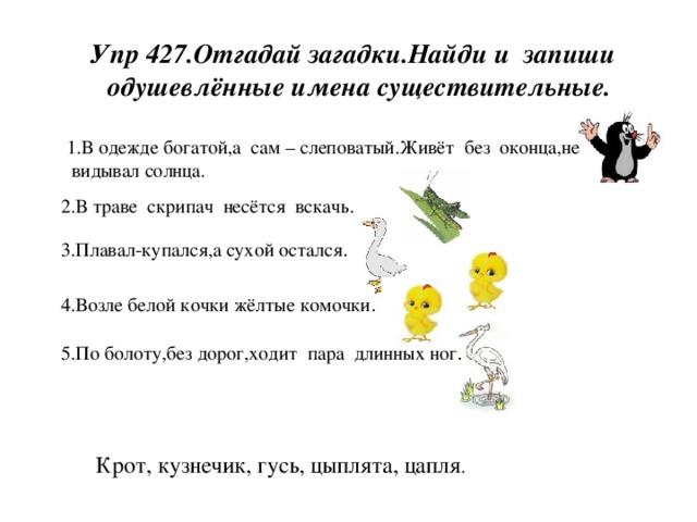 Упр 427. Загадка про одушевленные и неодушевленные. Загадки с не с существительными. Загадки с существительными. Загадки про неодушевленные предметы.