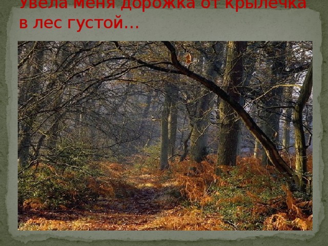 Увела меня дорожка от крылечка в лес густой… 