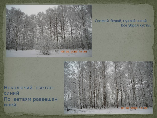 Свежей, белой, пухлой ватой Все убрал кусты.   Неколючий, светло-синий По ветвям развешан иней.   