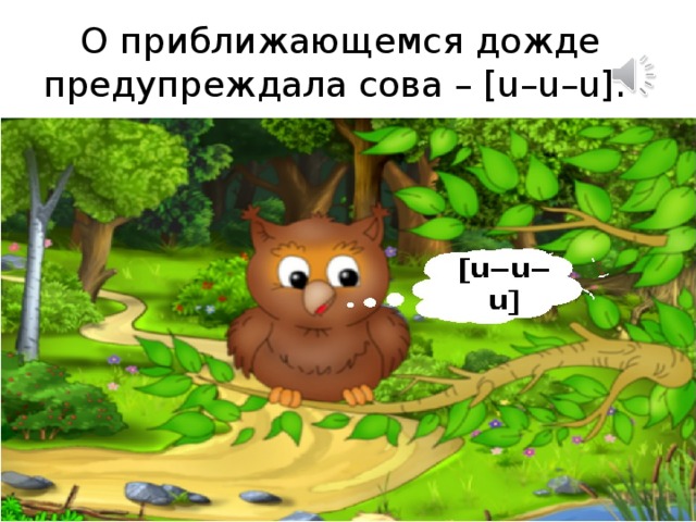 О приближающемся дожде предупреждала сова – [u–u–u].  