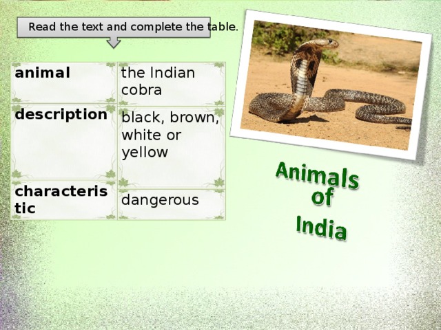 Read the text and complete the table. the Indian cobra animal black, brown, white or yellow description dangerous characteristic 