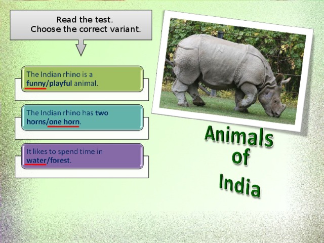 Choose the correct variant am are. Animals of India 5 класс Spotlight. Animals of India 5 класс. Amazing creatures 5 класс Spotlight презентация. Amazing creatures 5 класс.