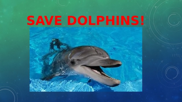 Save dolphins! 