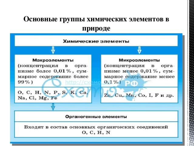 Основные группы химических элементов в природе 