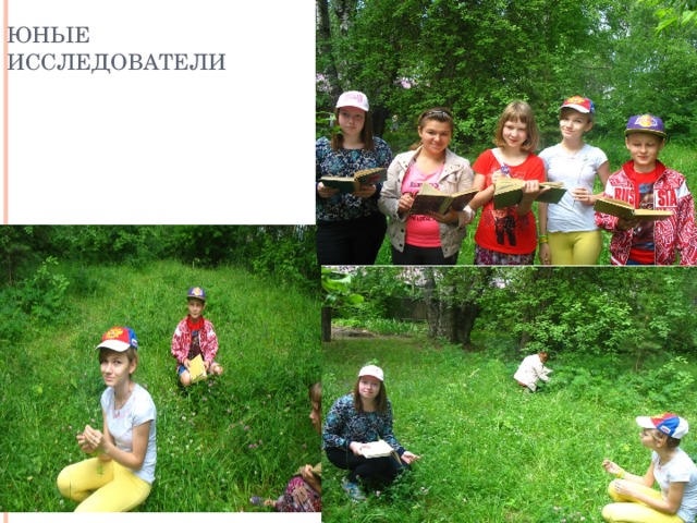 Юные исследователи 
