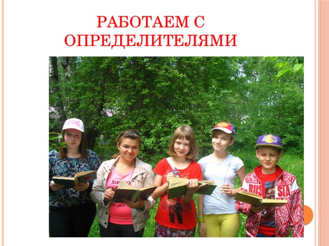 Работаем с определителями 