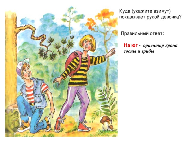 Вопрос 2 Куда (укажите азимут) показывает рукой девочка? Правильный ответ: На юг - ориентир крона сосны и грибы 