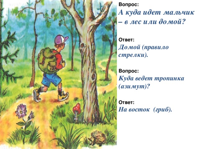 Вопрос: А куда идет мальчик – в лес или домой? Ответ: Домой (правило стрелки). Вопрос: Куда ведет тропинка (азимут)? Ответ: На восток (гриб). 