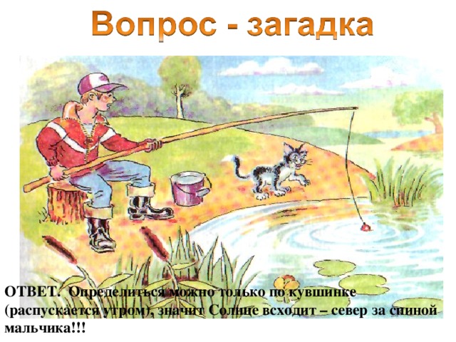 Вы не рыбак.   Посмотрите на картинку и определите где север. ОТВЕТ. Определиться можно только по кувшинке (распускается утром), значит Солнце всходит – север за спиной мальчика!!! 
