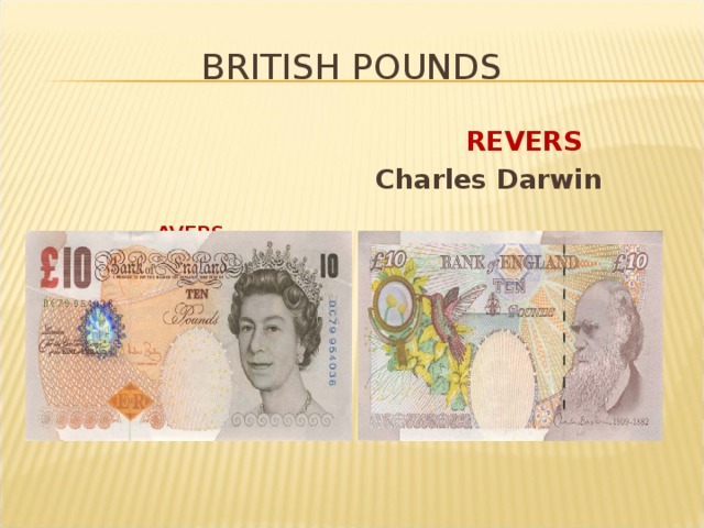 BRITISH POUNDS     AVERS Elizabeth II   REVERS Charles Darwin 
