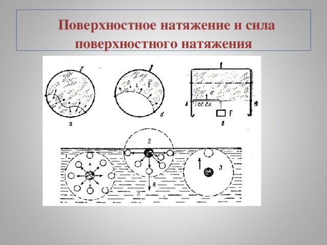 Сила поверхности натяжения. Сила поверхностного натяжения направлена. Направление силы поверхностного натяжения. Куда направлена сила поверхностного натяжения. Как направлены силы поверхностного натяжения.