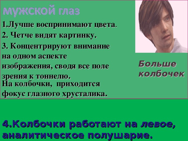 1.Лучше воспринимают цвета . 2. Четче видят картинку. 3. Концентрируют внимание на одном аспекте изображения, сводя все поле зрения к тоннелю. Больше колбочек На колбочки, приходится фокус глазного хрусталика. 4.Колбочки работают на левое, аналитическое полушарие. 