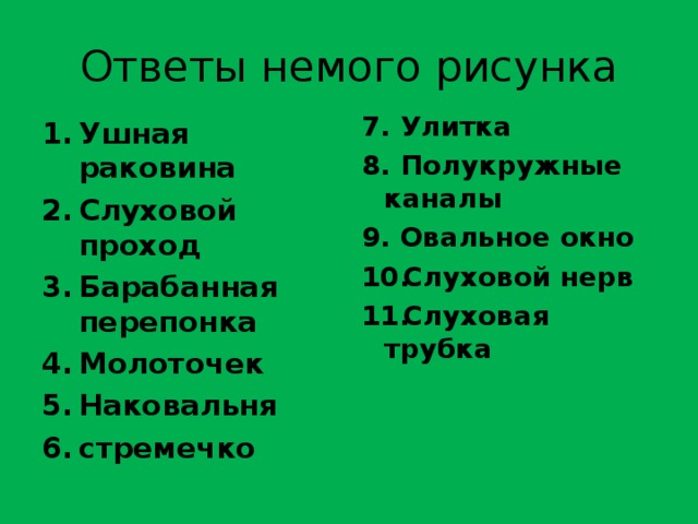Ответы немого рисунка 7. Улитка 8. Полукружные каналы 9. Овальное окно Слуховой нерв Слуховая трубка Ушная раковина Слуховой проход Барабанная перепонка Молоточек Наковальня стремечко  