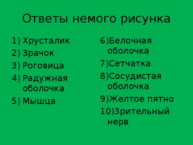 Ответы немого рисунка Хрусталик Зрачок Роговица Радужная оболочка Мышца 6)Белочная оболочка 7)Сетчатка 8)Сосудистая оболочка 9)Желтое пятно 10)Зрительный нерв 