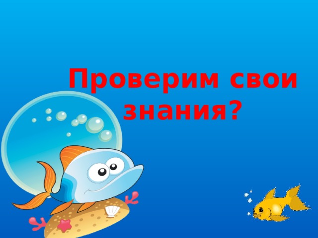  Проверим свои знания?       