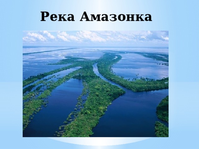 Река Амазонка 