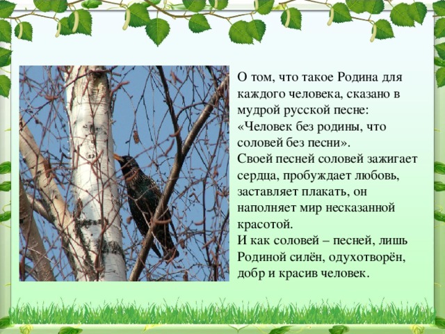 С чего начинается родина видеоурок