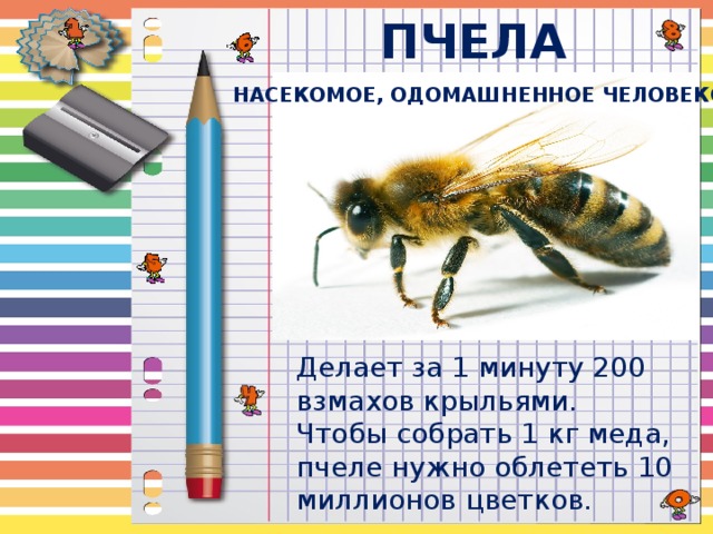 Рассмотрите рисунки 1 2 с изображением одомашненных насекомых как называют насекомое на рисунке 2