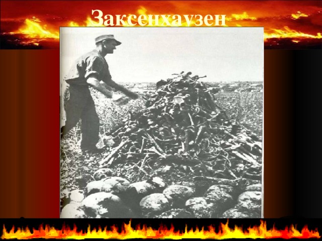 Заксенхаузен   