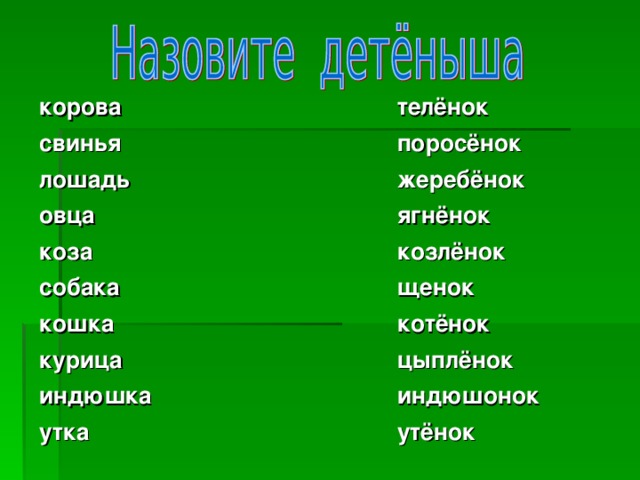 корова свинья лошадь овца коза собака кошка курица индюшка утка  телёнок поросёнок жеребёнок ягнёнок козлёнок щенок котёнок цыплёнок индюшонок утёнок 