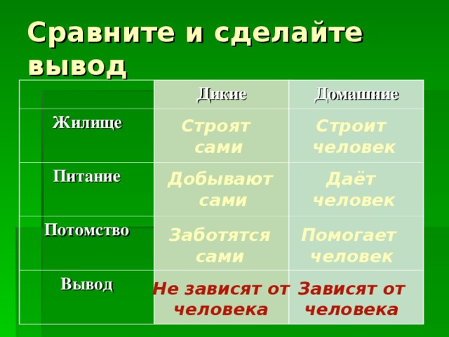 Сравните и сделайте вывод Дикие Жилище Домашние Питание Потомство Вывод Строят сами Строит человек Даёт человек Добывают сами Заботятся сами Помогает человек Не зависят от человека Зависят от человека 