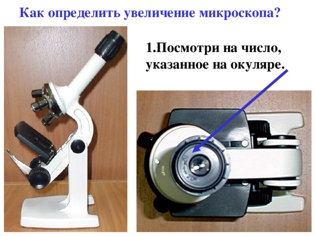 Как определить увеличение микроскопа? 1.Посмотри на число, указанное на окуляре. 