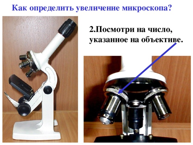 Как определить увеличение микроскопа? 2.Посмотри на число, указанное на объективе. 