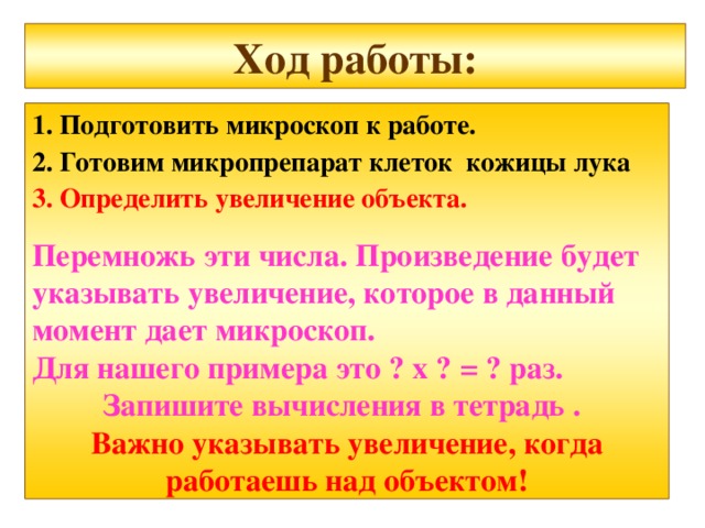  Ход работы:   1. Подготовить микроскоп к работе. 2. Готовим микропрепарат клеток кожицы лука 3. Определить увеличение объекта. Перемножь эти числа. Произведение будет указывать увеличение, которое в данный момент дает микроскоп. Для нашего примера это ? х ? = ? раз.  Запишите вычисления в тетрадь . Важно указывать увеличение, когда работаешь над объектом!  