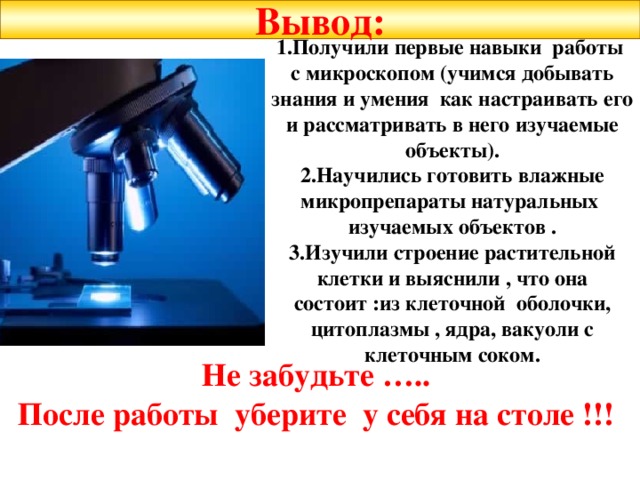  Вывод:   1.Получили первые навыки работы с микроскопом (учимся добывать знания и умения как настраивать его и рассматривать в него изучаемые объекты).  2.Научились готовить влажные микропрепараты натуральных изучаемых объектов .  3.Изучили строение растительной клетки и выяснили , что она состоит :из клеточной оболочки, цитоплазмы , ядра, вакуоли с клеточным соком. Не забудьте ….. После работы уберите у себя на столе !!! 