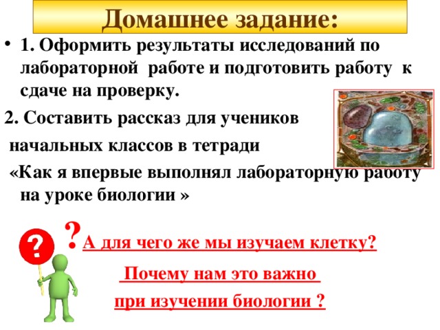  Домашнее задание:   1. Оформить результаты исследований по лабораторной работе и подготовить работу к сдаче на проверку. 2. Составить рассказ для учеников  начальных классов в тетради  «Как я впервые выполнял лабораторную работу на уроке биологии » ? А для чего же мы изучаем клетку?  Почему нам это важно при изучении биологии ? 