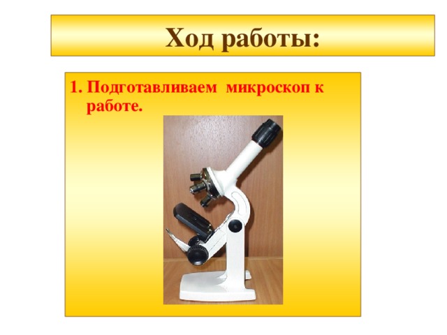  Ход работы:   1. Подготавливаем микроскоп к работе. 