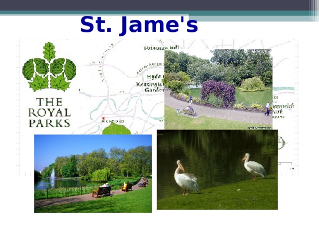 St. Jame's Park  ------------- 