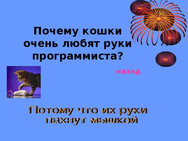 Почему кошки очень любят руки программиста? назад 