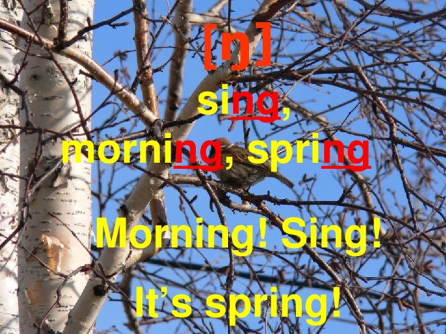 [ ŋ]  si ng , morni ng , spri ng Morning! Sing! It’s spring! 