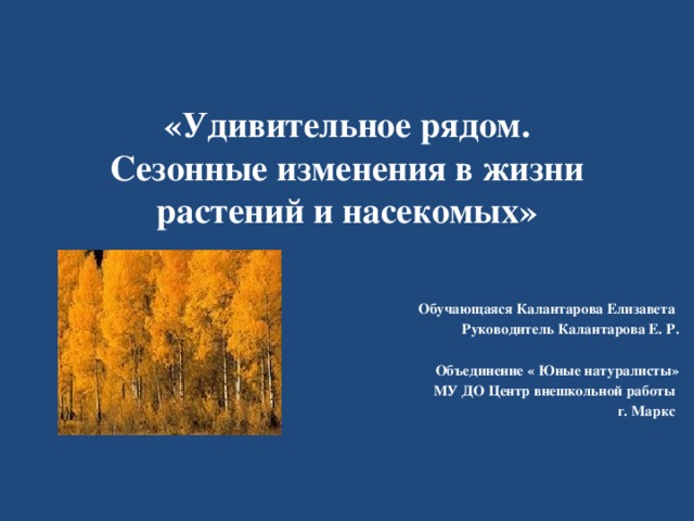 Адаптация насекомых к сезонным изменениям в природе проект