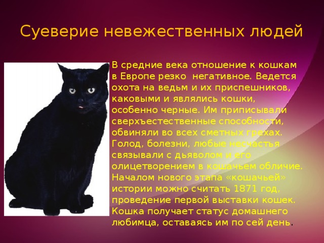 Суеверие невежественных людей В средние века отношение к кошкам в Европе резко негативное. Ведется охота на ведьм и их приспешников, каковыми и являлись кошки, особенно черные. Им приписывали сверхъестественные способности, обвиняли во всех сметных грехах. Голод, болезни, любые несчастья связывали с дьяволом и его олицетворением в кошачьем обличие. Началом нового этапа «кошачьей» истории можно считать 1871 год, проведение первой выставки кошек. Кошка получает статус домашнего любимца, оставаясь им по сей день . 